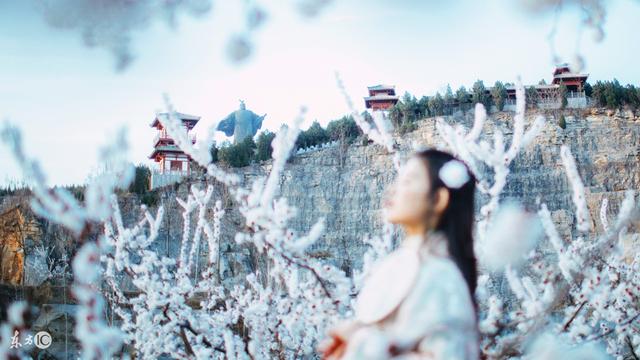 小说:一家的姐妹,一个刁难,一个白莲,想拿我做垫脚石?