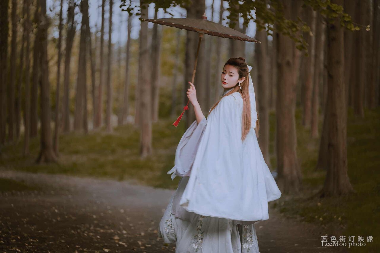 鍏充簬鍦拌棌鐜嬬殑灏忚,鏈夊叧鍦拌棌鐜嬬殑灏忚