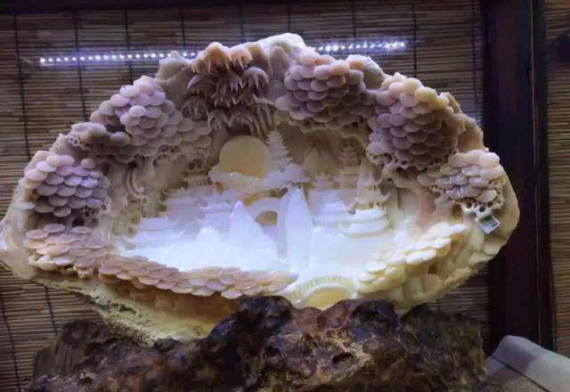 世界上贝壳里面最大的珍珠,最大珍珠贝壳