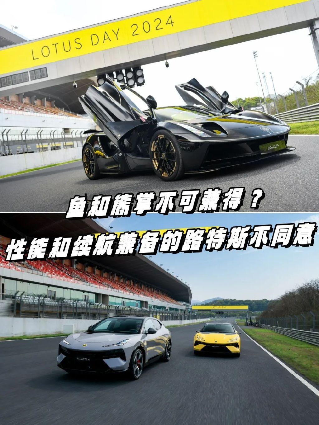 鱼和熊掌不可兼得美貌与智商,鱼与熊掌确实不可兼得