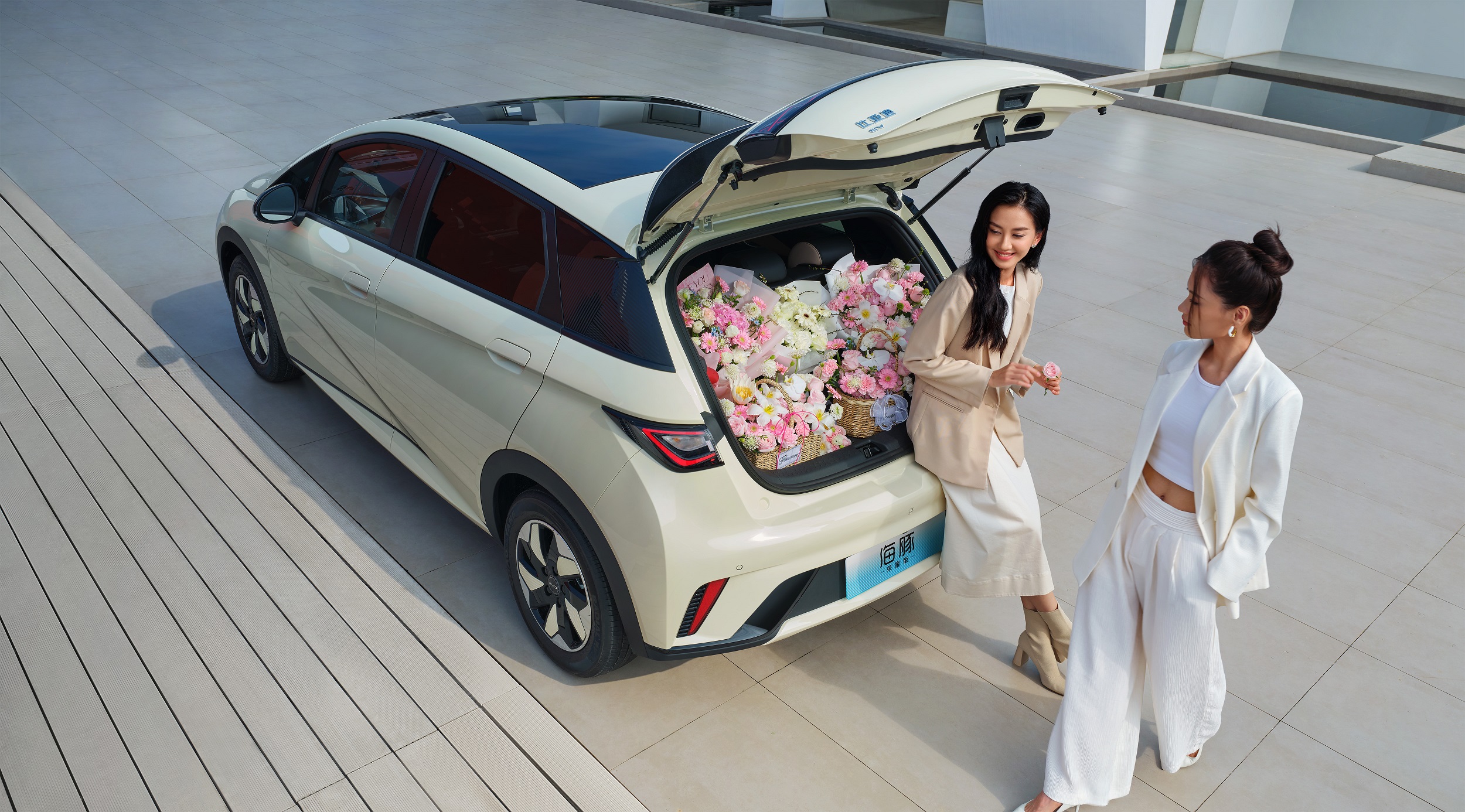 比亚迪海豚70kw和130kw哪个更实用,比亚迪海豚12.18万和10.88万区别