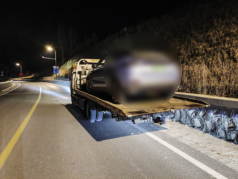 假如你有一台“电动爹”!春节长途回家?保姆级攻略请查收