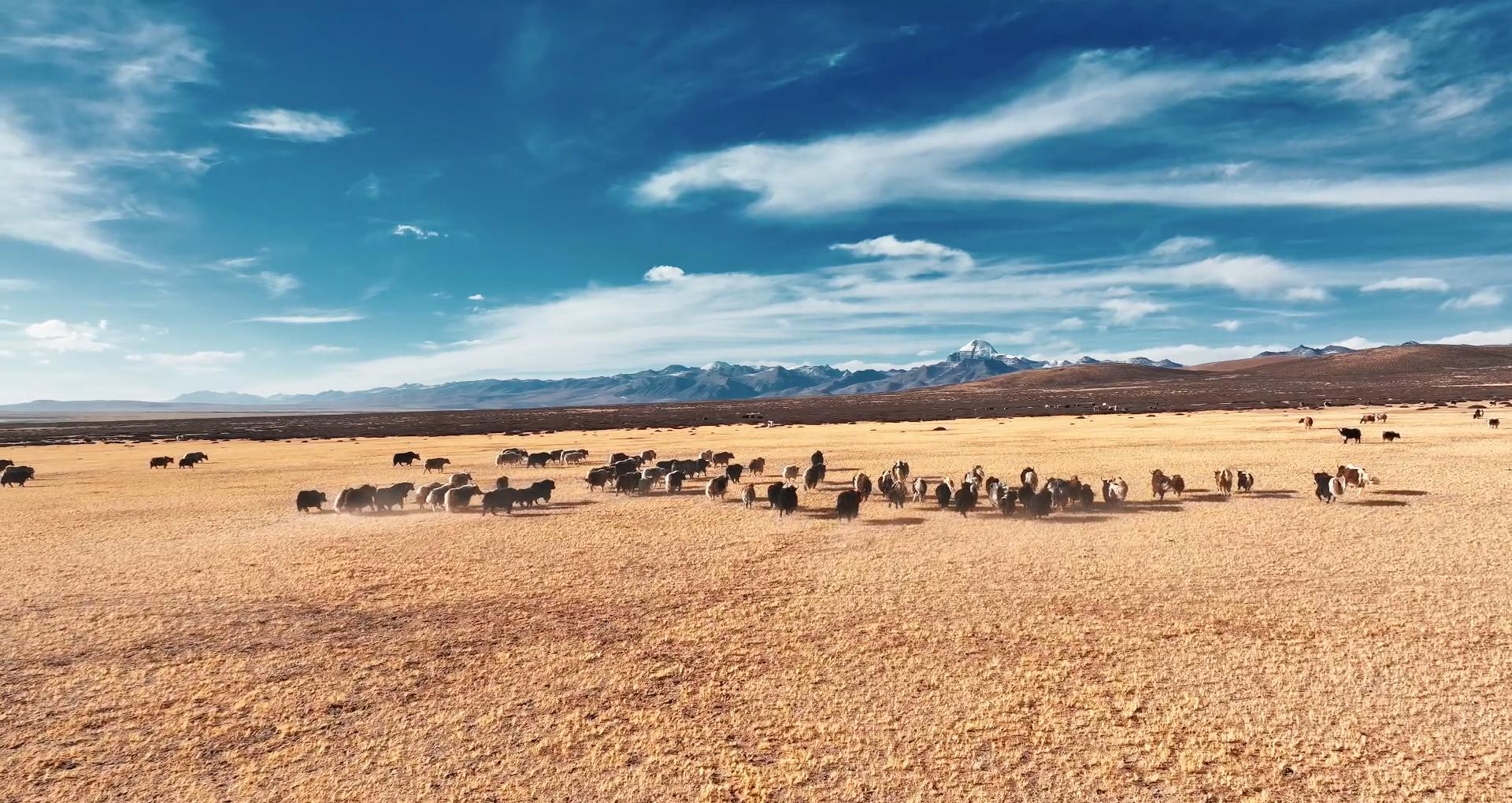 与信仰无关只求静心,唯有热爱与信仰