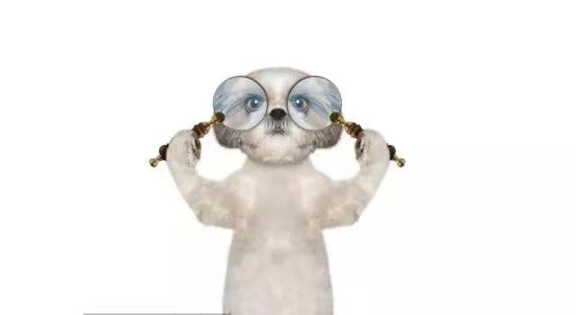 二手车该怎么买才靠谱,二手车要怎样买