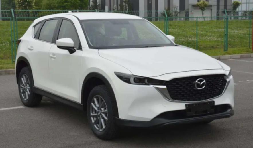 年终奖筹划最新消息,年终奖要在12月份预提吗