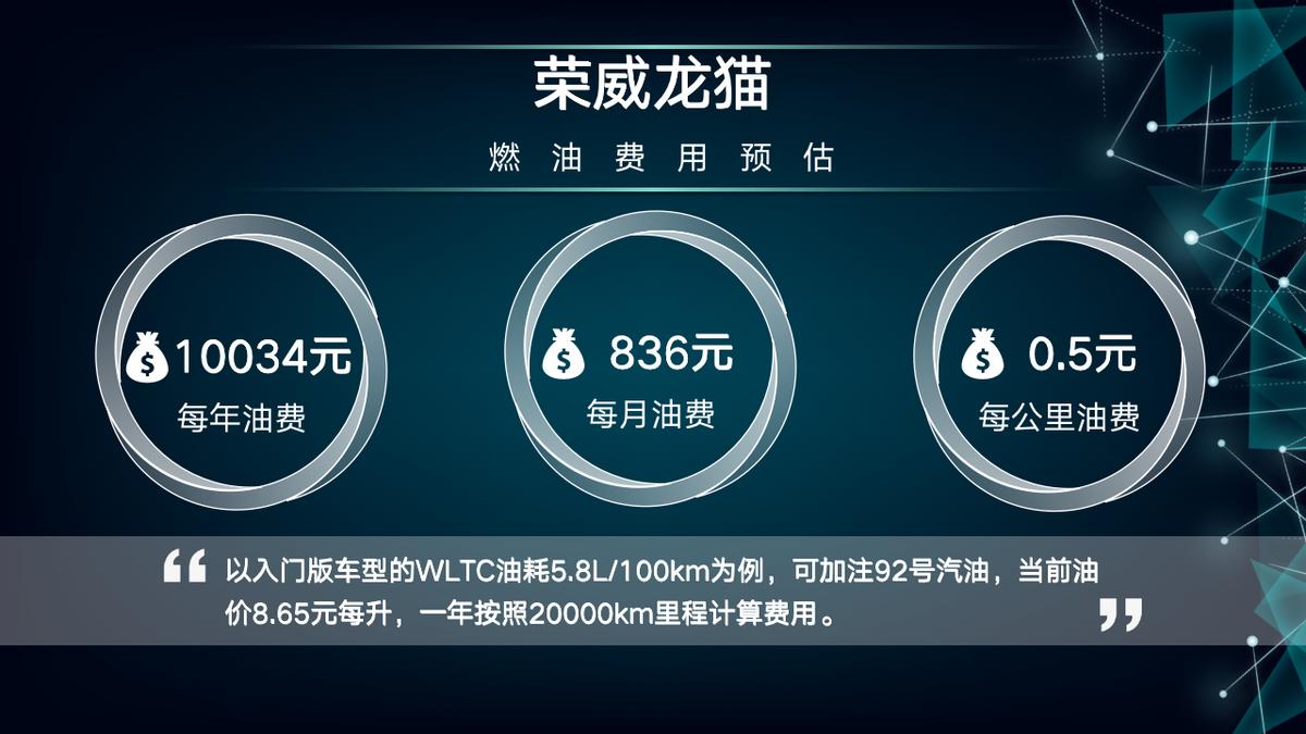 龙猫养车,龙猫养车怎样