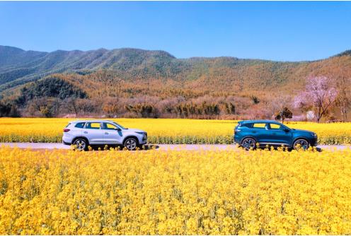 奇瑞汽车超值购车嘉年华,奇瑞汽车国庆促销活动