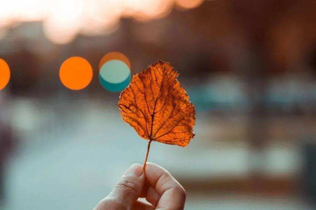 烧机油很严重是哪里的问题,烧机油都有哪些原因造成的