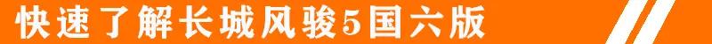 风骏5汽油国六版售价,长城风骏5价格国六