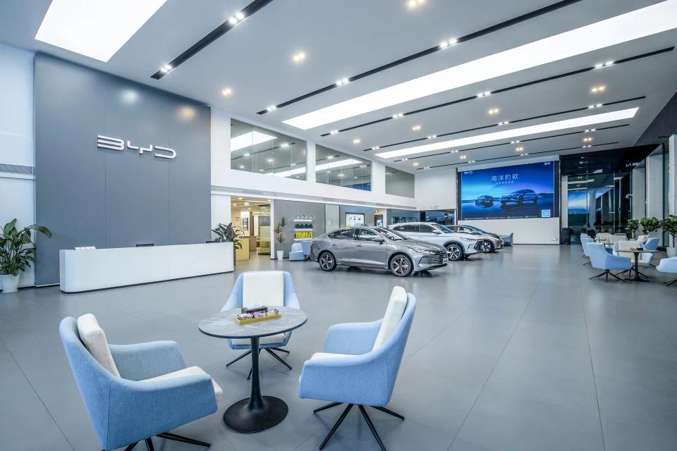 比亚迪海豚自由版纯色贝贝灰,海豚来啦