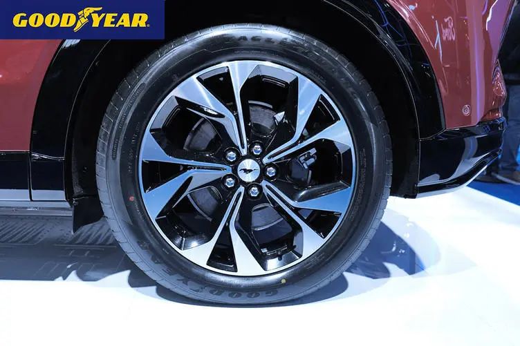 车轮胎的标准气压是多少,买轮胎有什么讲究