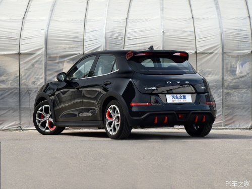 小姐姐的小猫咪,可爱的小野猫小姐姐