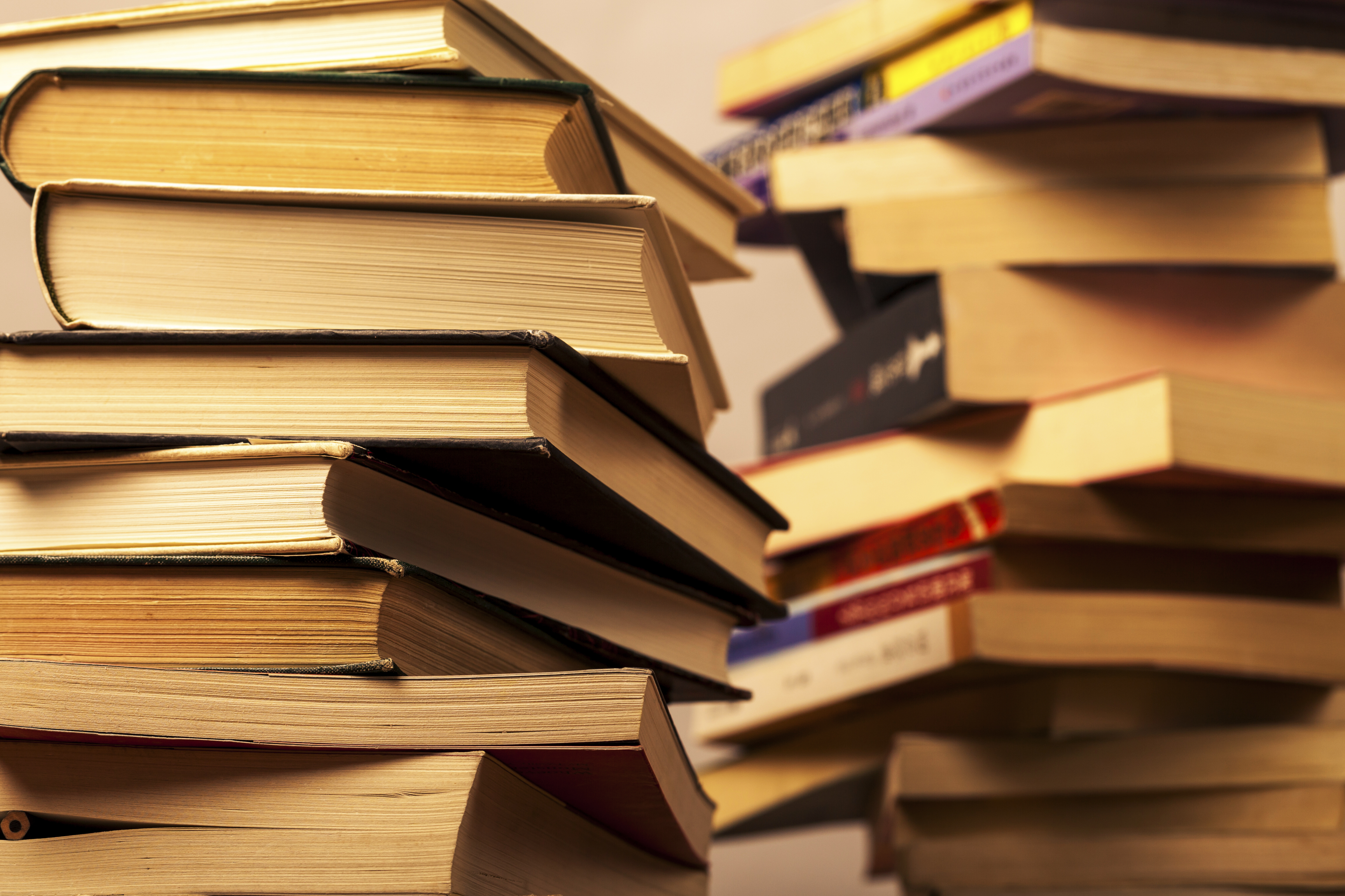 姑娘带小学生们参观，谁知老嫂子却一直开车对着她按喇叭