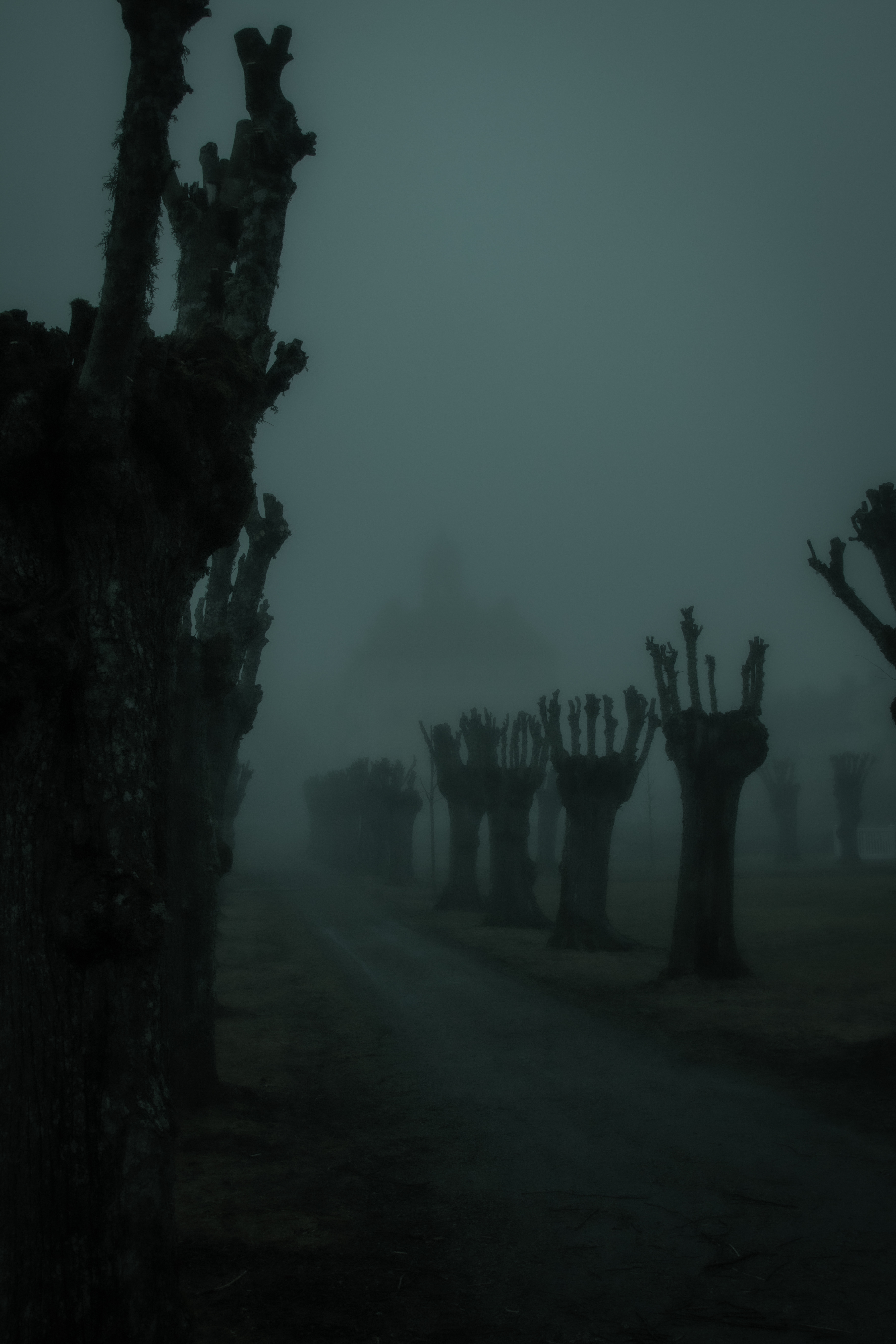 濂充汉澹伴煶鍙樻俯鏌斾簡,濂充汉璇磋瘽澹伴煶鐢滅編