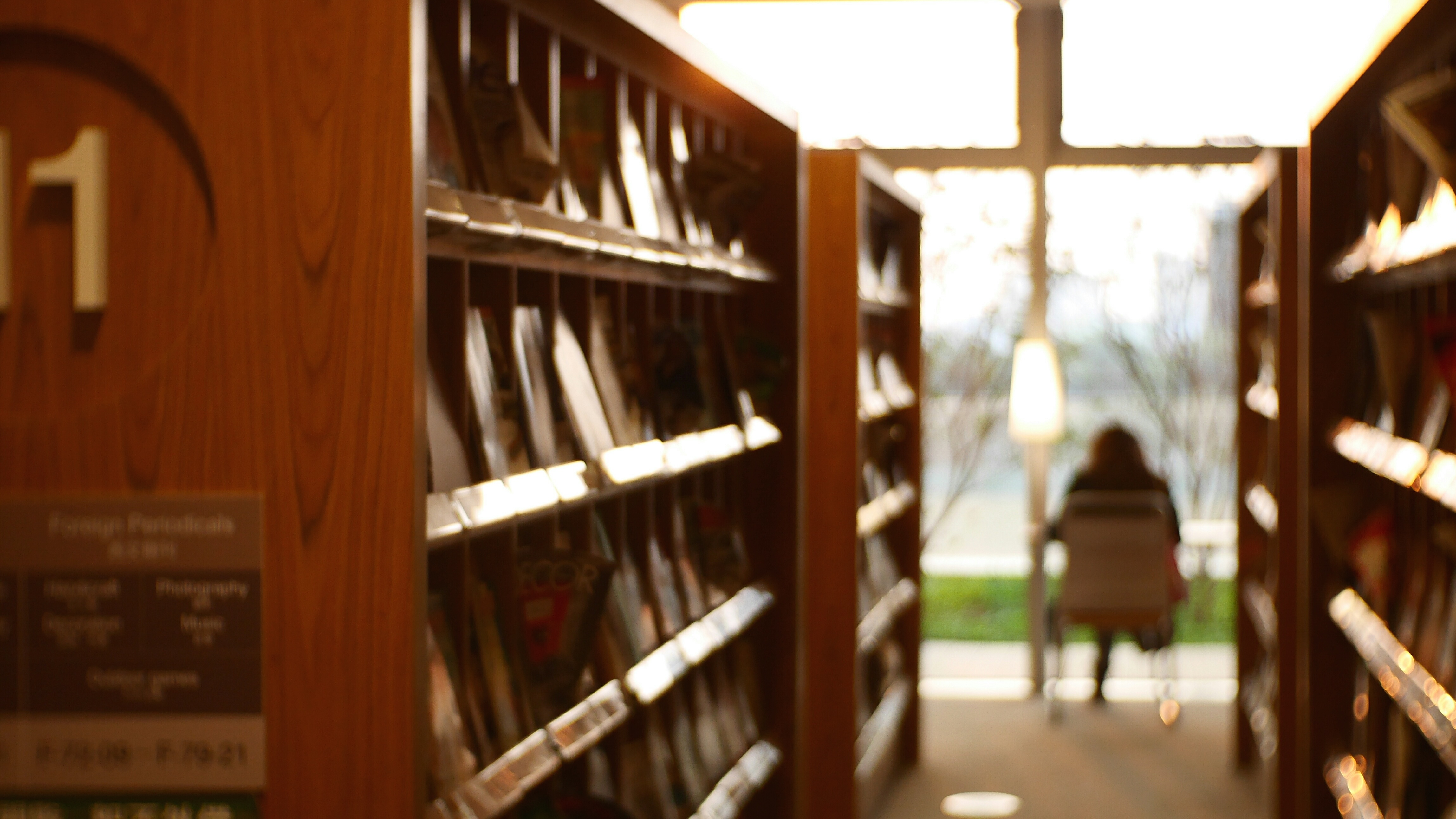 为了寻求真相而死的小说,为寻真相小说