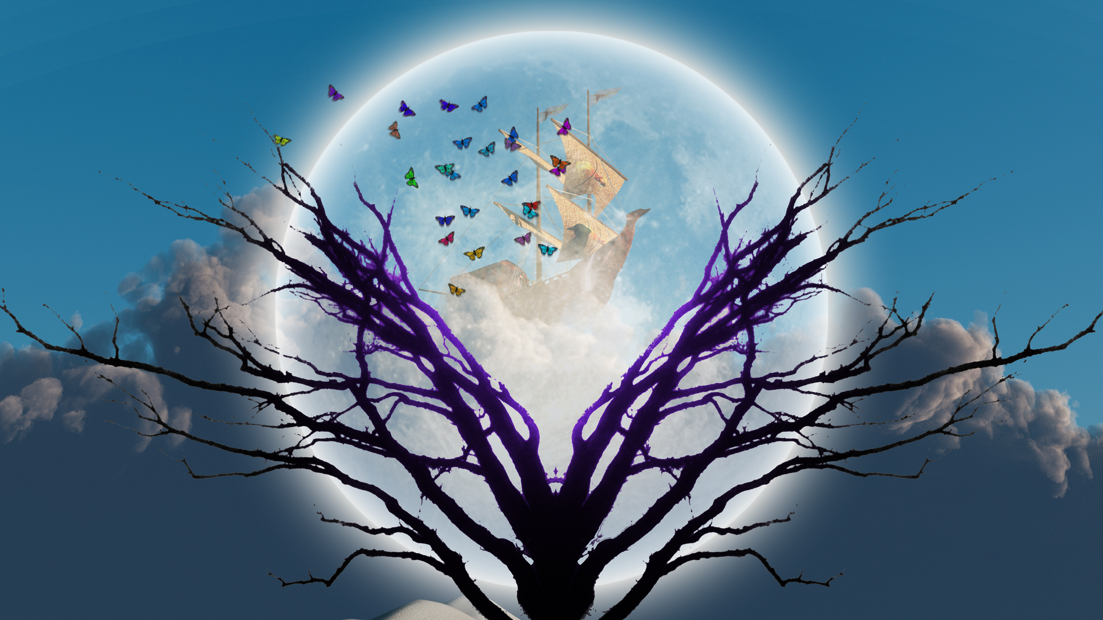 小说：宵宫真是太可爱了！！宵宫厨冲冲冲！！