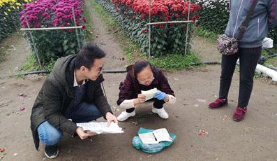 转发此推文，享绍兴平水海丰菊园半价票，更更更送自采菊花一束