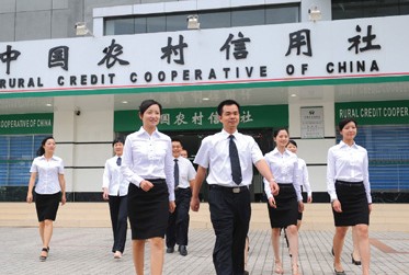 为什么信用社贷不了款,在信用社贷了20万还不起怎么办