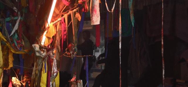 这么迷人的张钧甯,又撩到我了