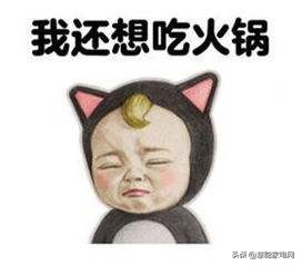 上班族有福利的美食,懒人自热火锅海底捞