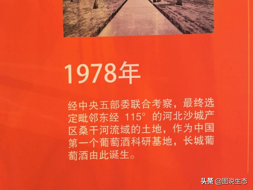 长城葡萄酒：用品质和担当讲述葡萄酒的东方故事，不再迷信波尔多