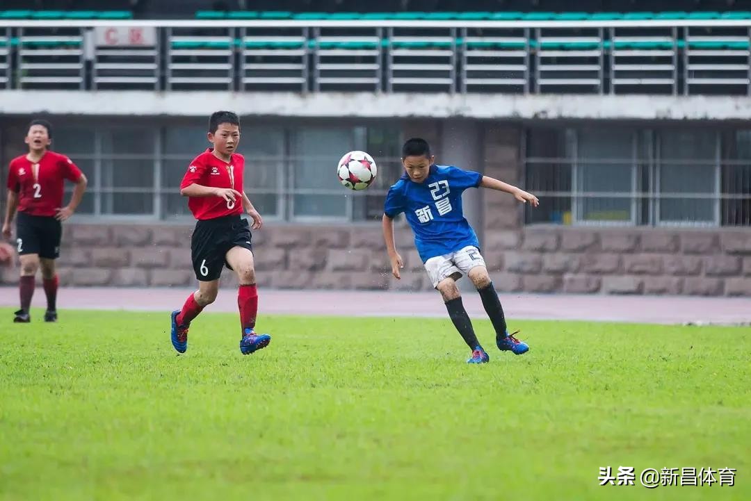 激情绿茵运动会入场,绍兴青少年足球锦标赛