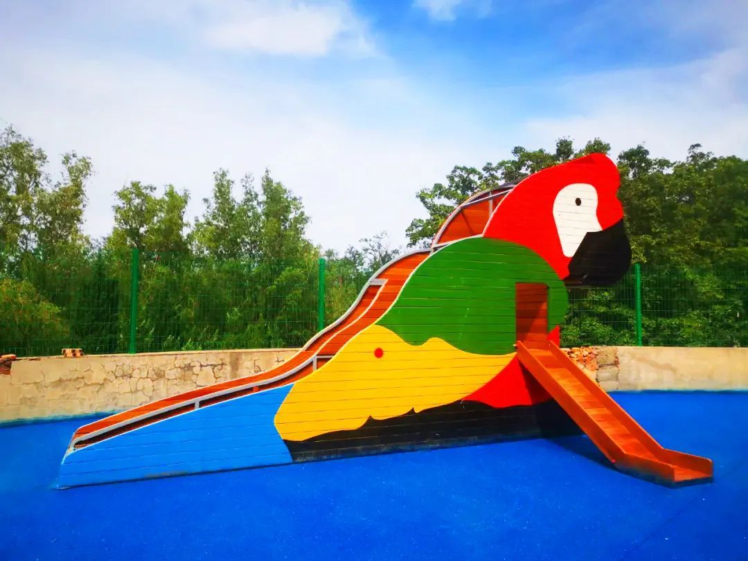 北京青龙湖湿地公园最新消息,北京青龙湖湿地公园现在开放吗