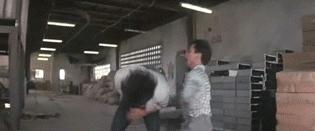 42届香港金像奖惹争议,41届香港金像奖惹争议