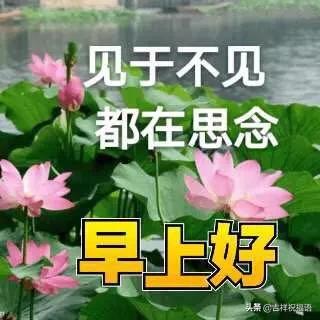 人生就像钢琴的黑白键,生活就像一架钢琴哲理