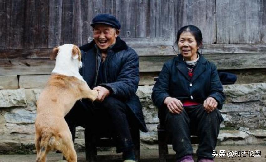 为何有人收购农村十年以上的老狗,狗贩子在农村收的狗都去了哪里