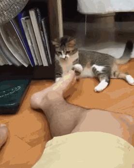 二次元的钱就是好赚,二次元的钱就是这么好赚