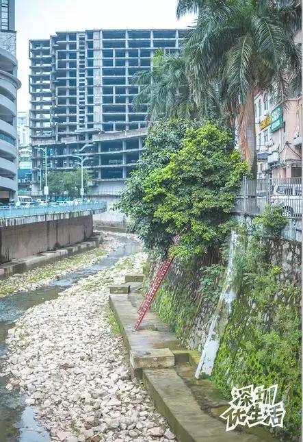 龙华最漂亮的城中村,龙华最破的城中村