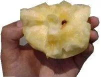 吃苹果不小心吞了虫子有什么后果,吃苹果咬到多少条虫最可怕