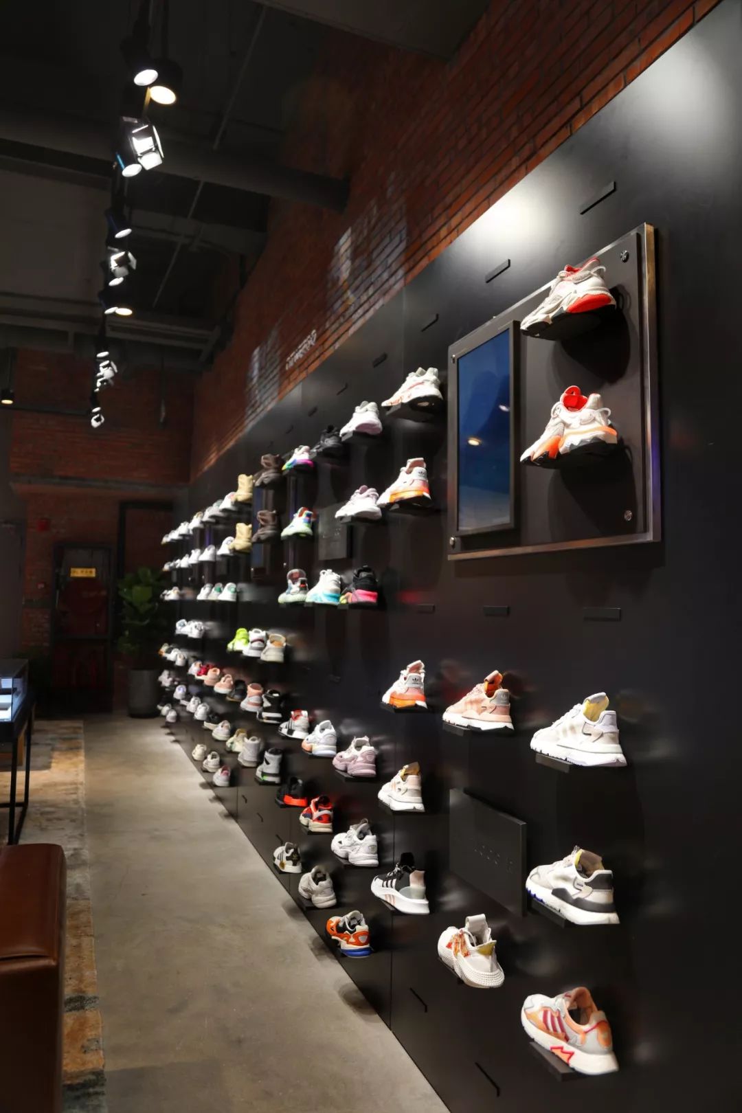 adidas三叶草时装,adidas三叶草夏季上新