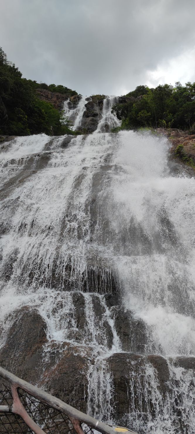 白水寨风景区森林公园,白水寨风景区游玩攻略在什么地方