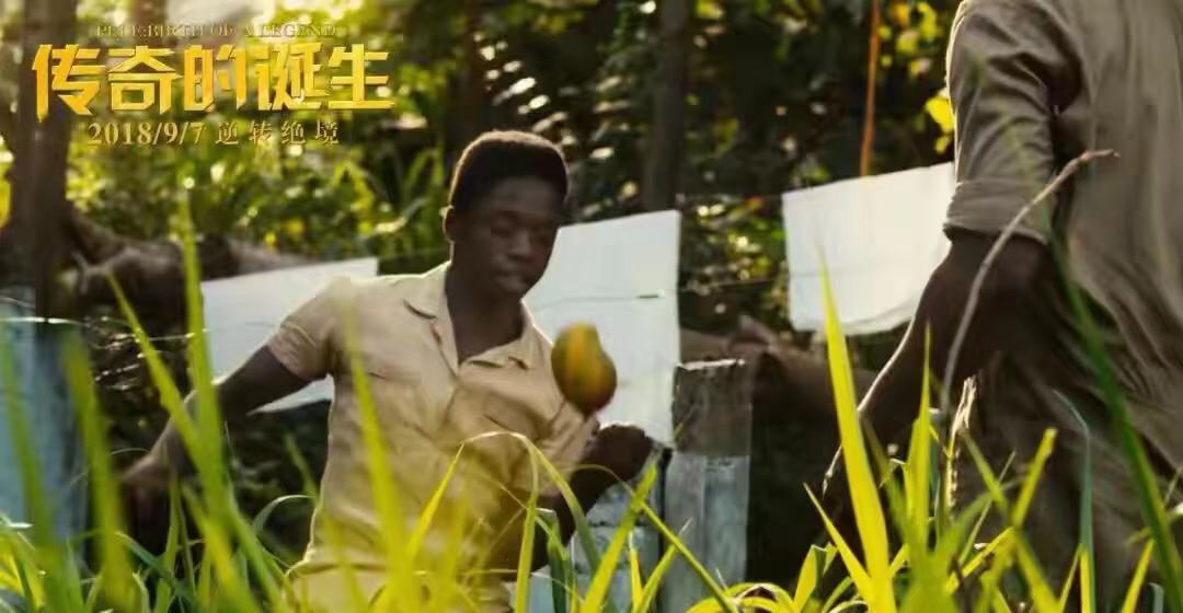 巴西球王贝利贫民窟,足坛传奇人物贝利