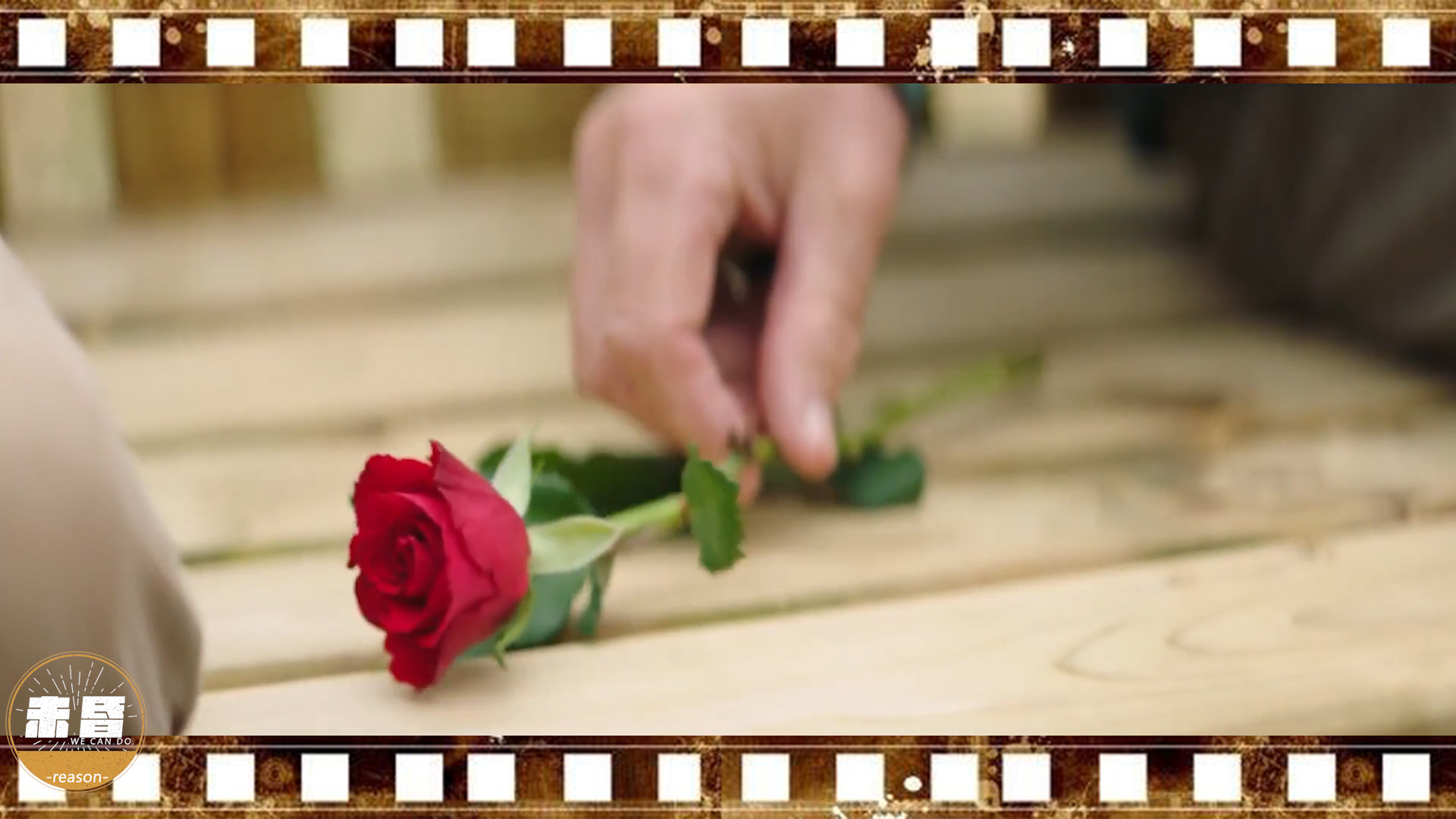 一片麦田完整版,一片麦田一束玫瑰