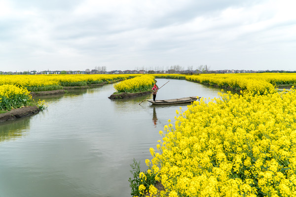 踏春赏花拍美景,踏春赏花逛湖