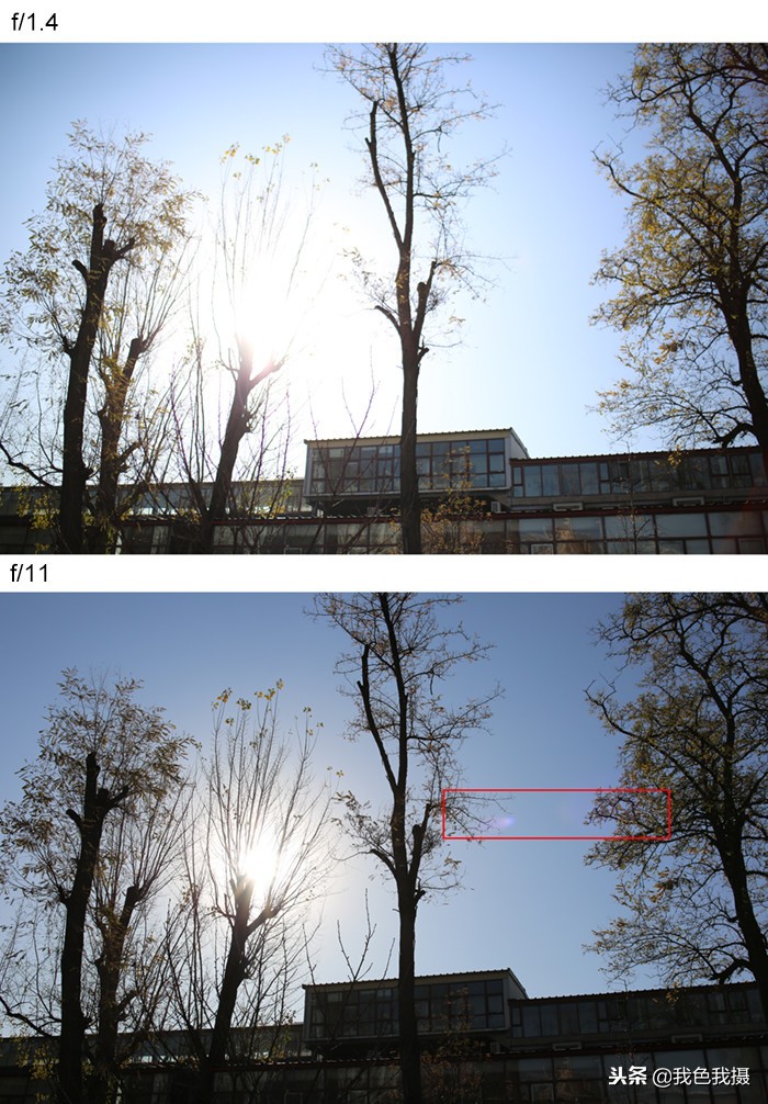 永诺35mmf1.4测评,七工匠35mmf1.4和永诺35mmf1.4哪个好