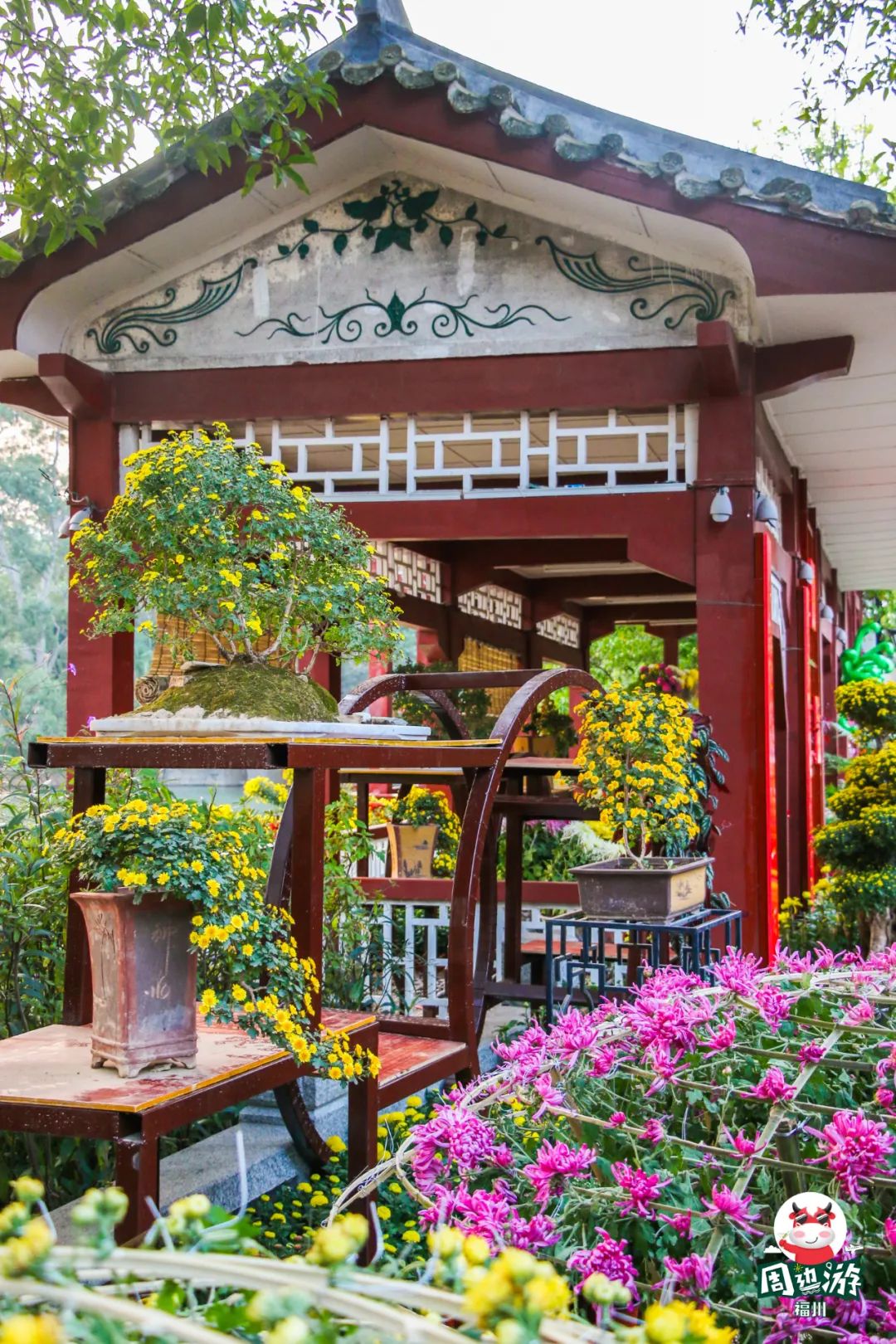 福州菊花展21年还有吗,福州西湖菊花展人山人海