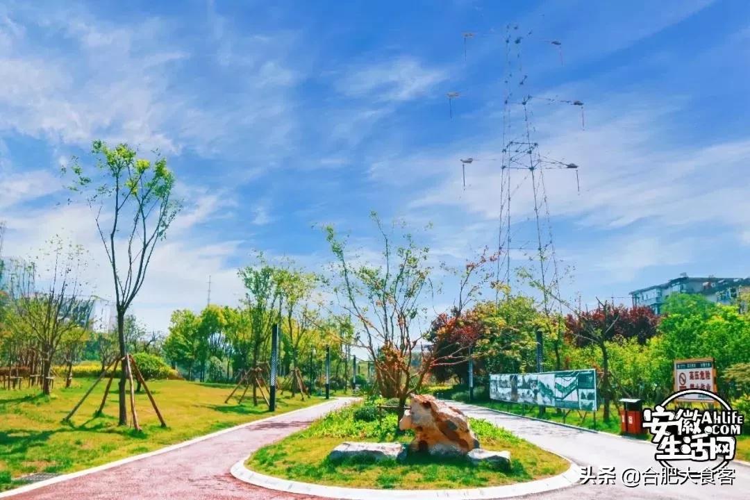 2020年,在这50个地方遇见不一样的合肥