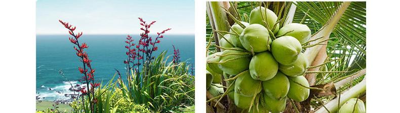 平价秋冬护肤推荐,秋冬季节护肤小知识平价护肤
