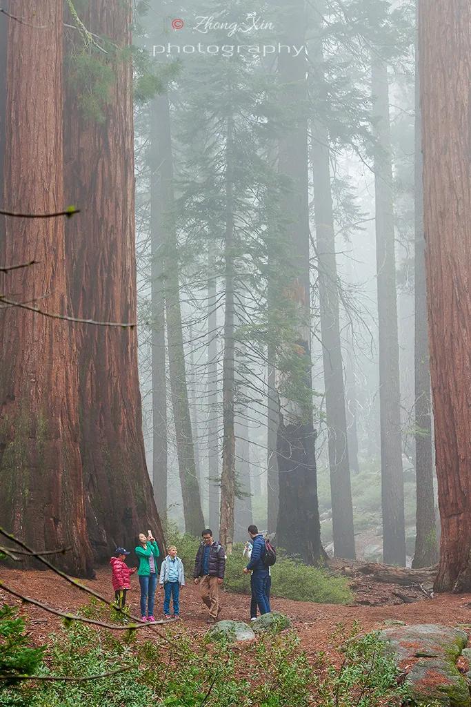 人类用8年就灭亡的动物,人类用八年就灭杀的动物