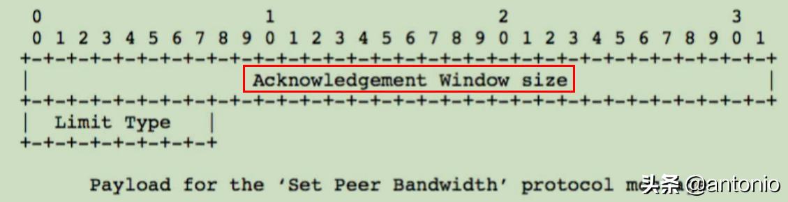 srs推流服务器rtmp问题汇总,rtmp流媒体协议