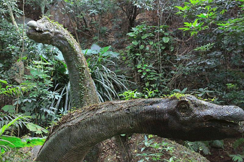 深圳南山区青青世界视频,青青世界深圳热带雨林