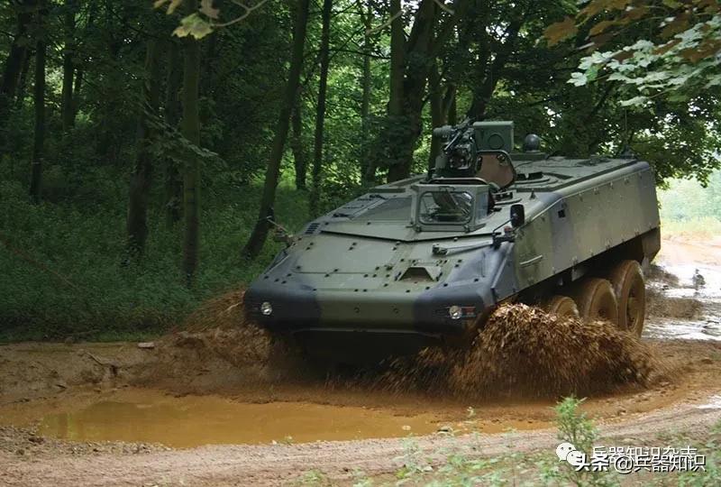 西班牙皮兰哈轮式步兵战车,皮兰哈轮式装甲车