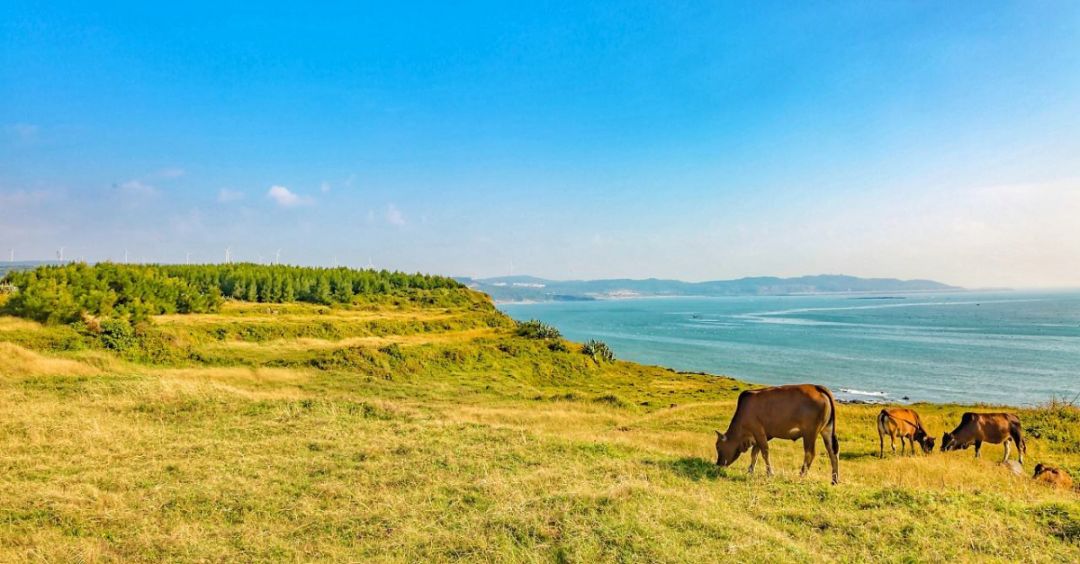 旅行种草,垦丁必打卡景点