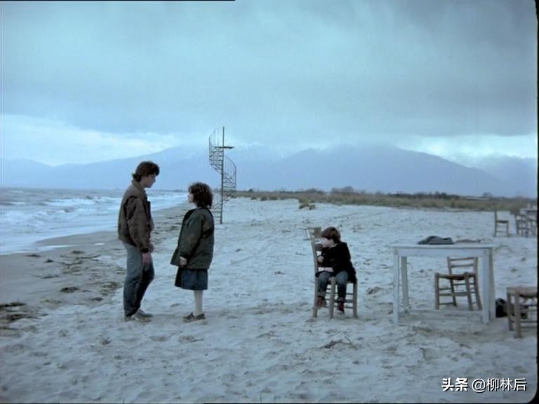 璞嗙摚鐢靛奖鐢熸棩蹇箰,璞嗙摚2022骞寸數褰辨帓琛屾top10