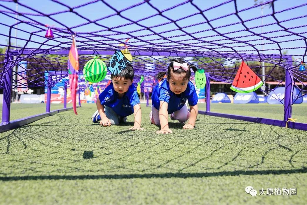 动植物园国庆游玩攻略,国庆节可以去的植物园