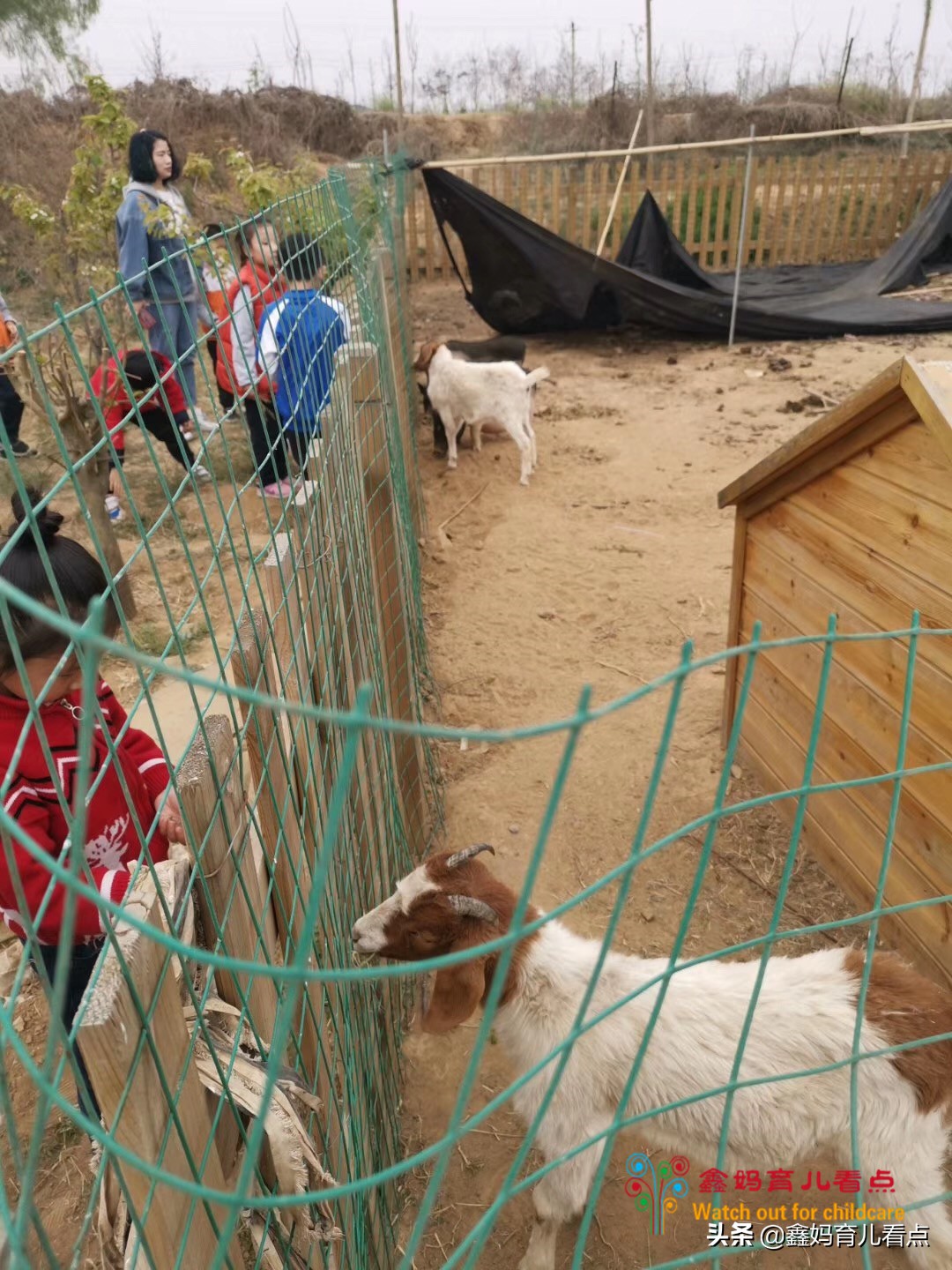 半岁宝宝，视听发育已经接近成人，宝妈竟然这么做。